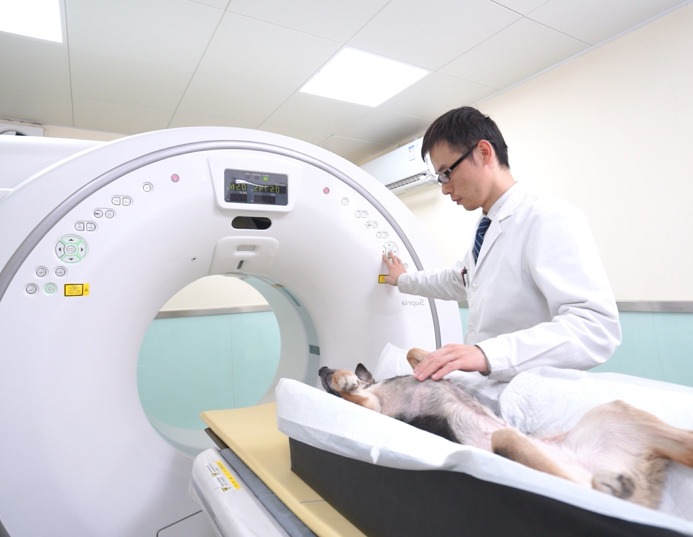 宠物CT诊断设备