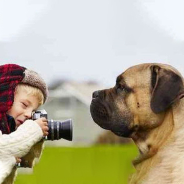 如何给狗狗拍出好看的照片