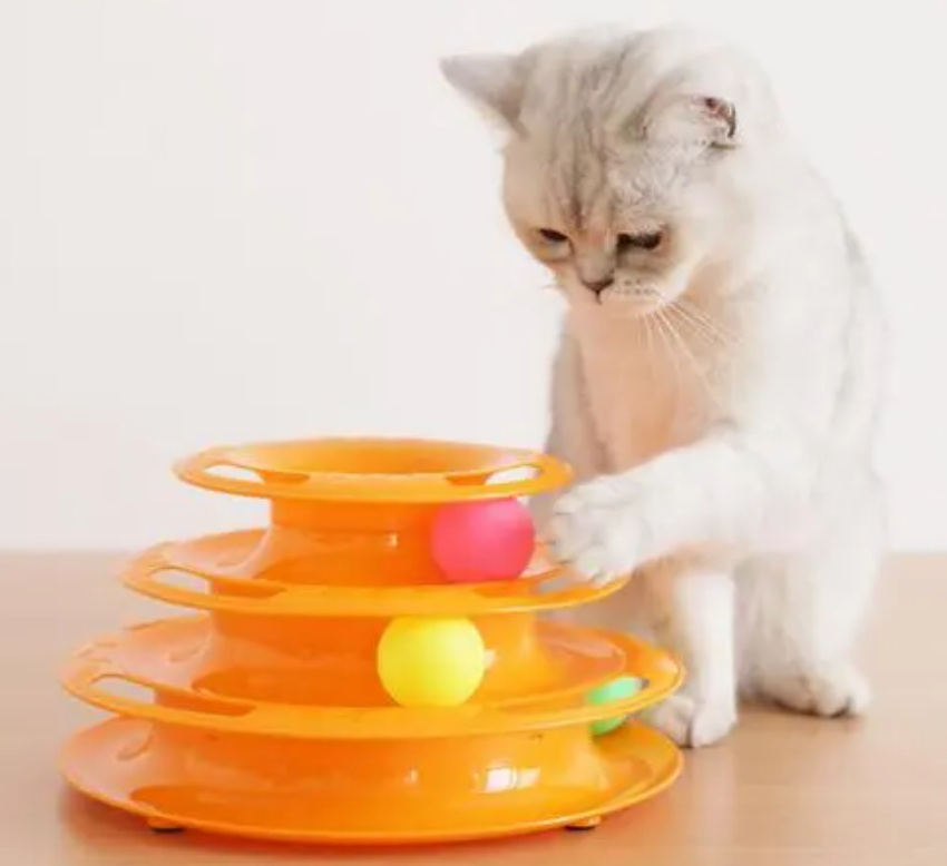 猫咪喜欢什么样的玩具？