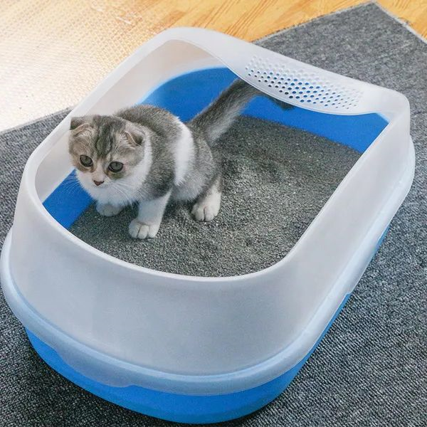 为什么猫咪会乱尿？